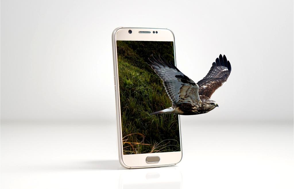 Area VR Immersiva con visori di ultima generazione